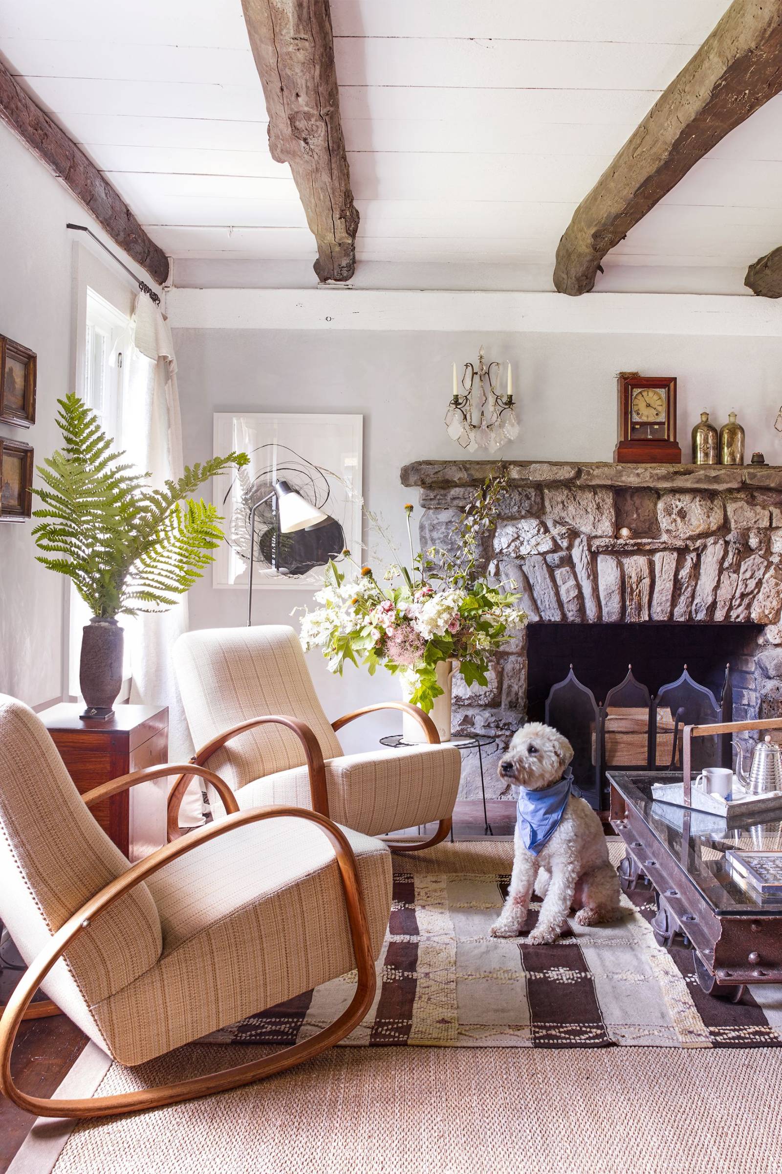 Cozy Living Room Decor Ideas and Designer Examples