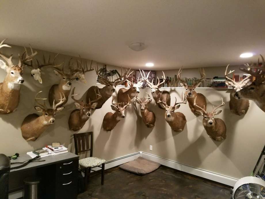 Deer Rooms  Iowa Whitetail Forums