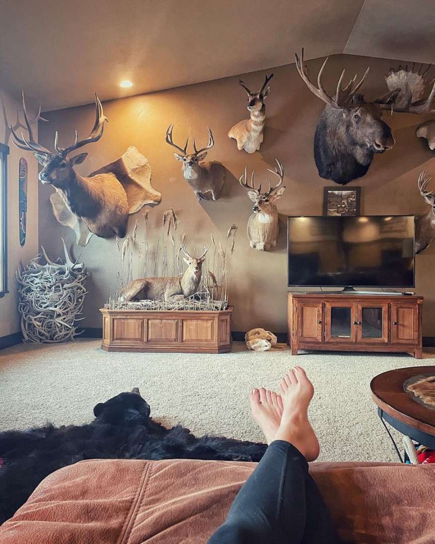 Trophy Room ideas in   trophy rooms, hunting room