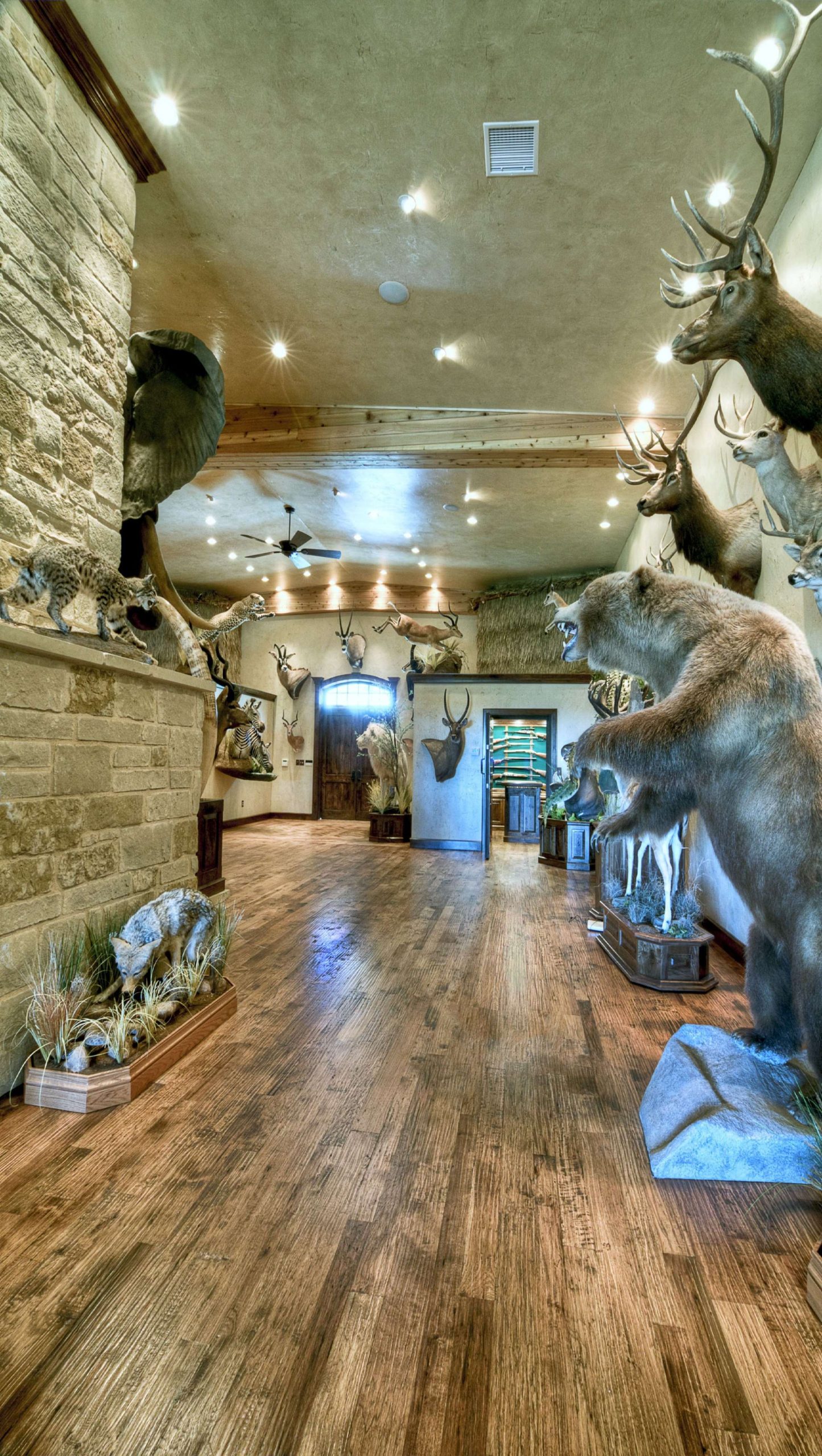 Trophy Rooms and Man Cave Home Bar Ideas