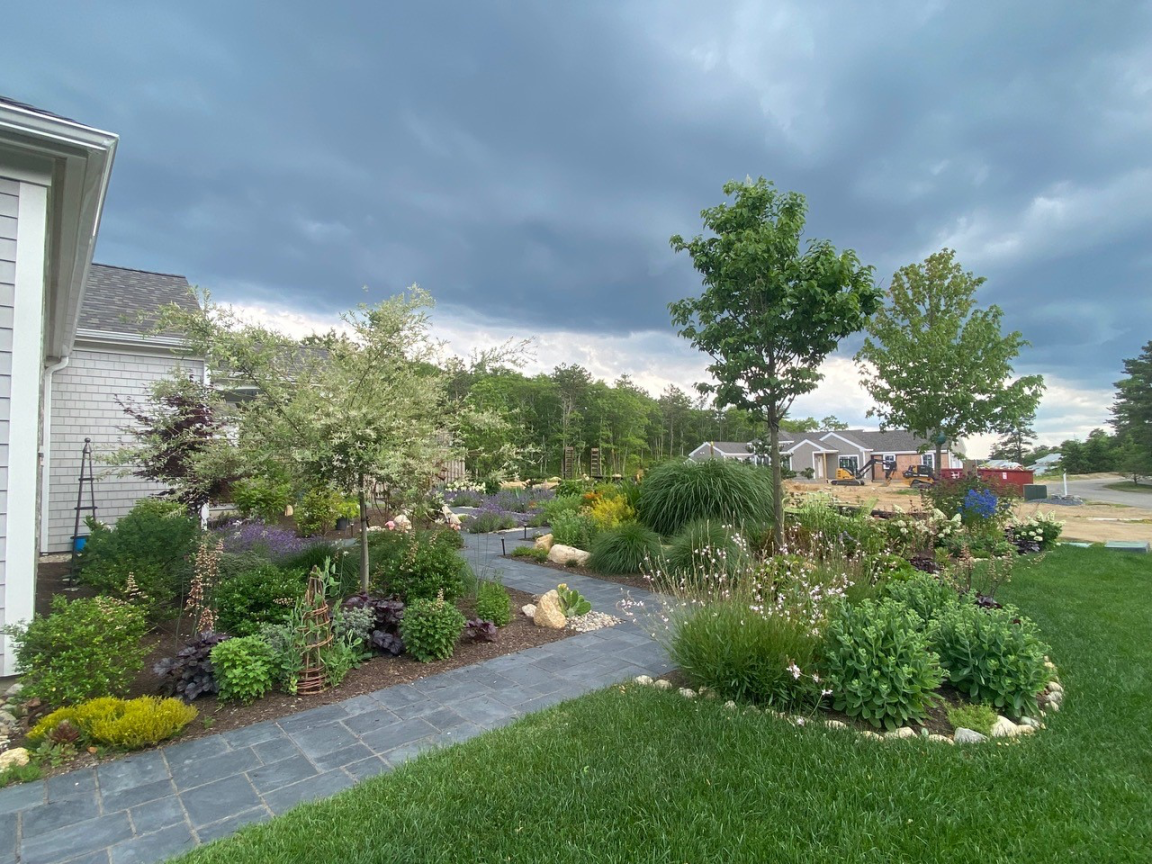 A New Garden in Massachusetts - FineGardening