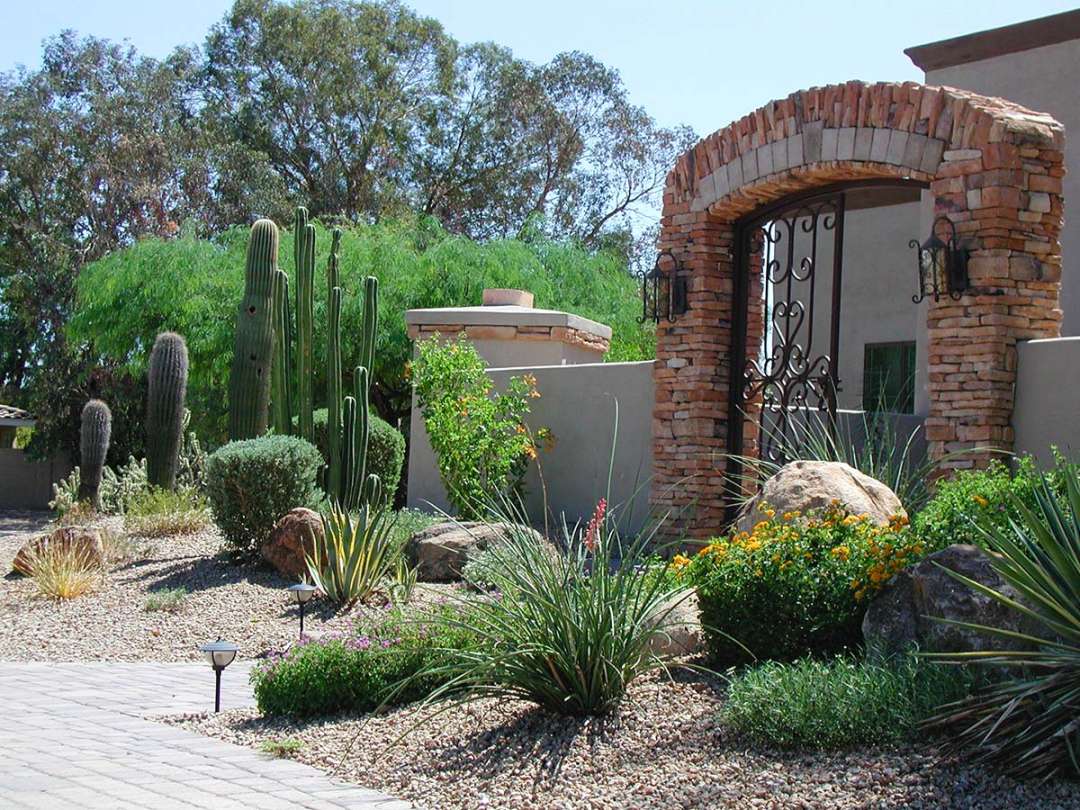 Arizona Landscaping Ideas - Arte Verde Landscape Design