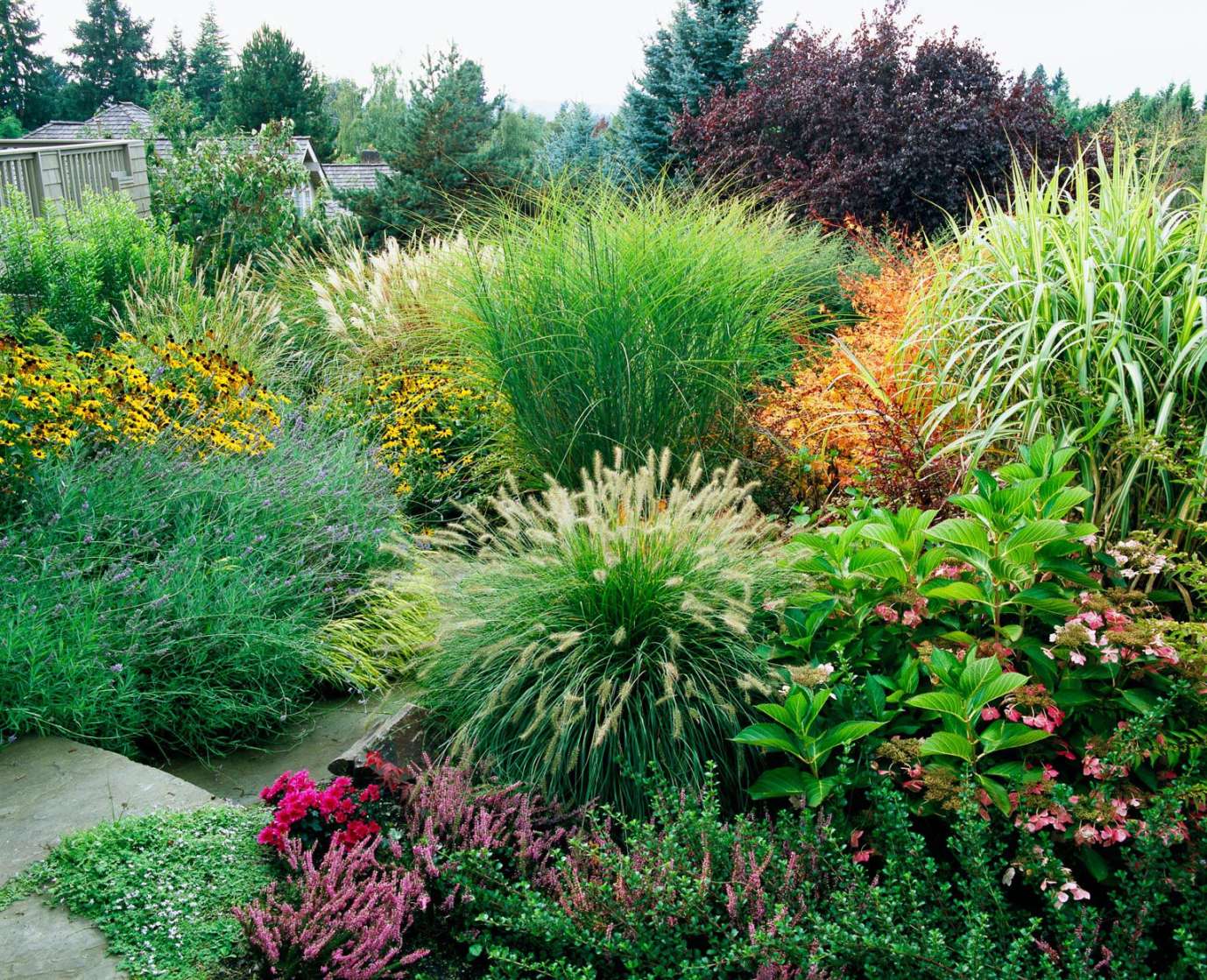 Beautiful Ways to Use Ornamental Grasses in Your Landscape