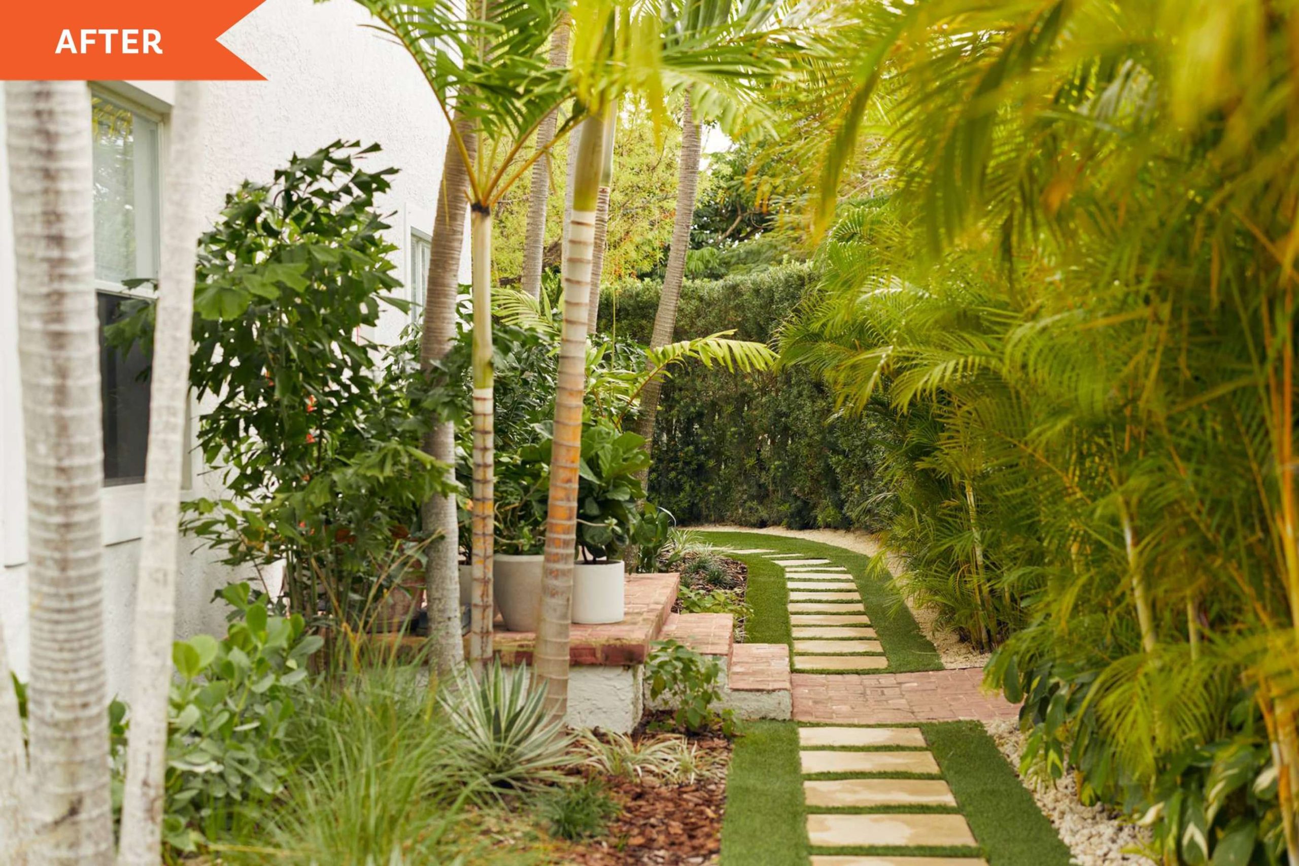 Before and After: A Tropical Backyard With  Affordable Ideas to