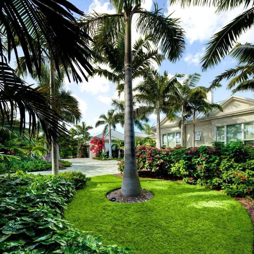 Best Palm Tree Landscaping Ideas For Frontyard and Backyard