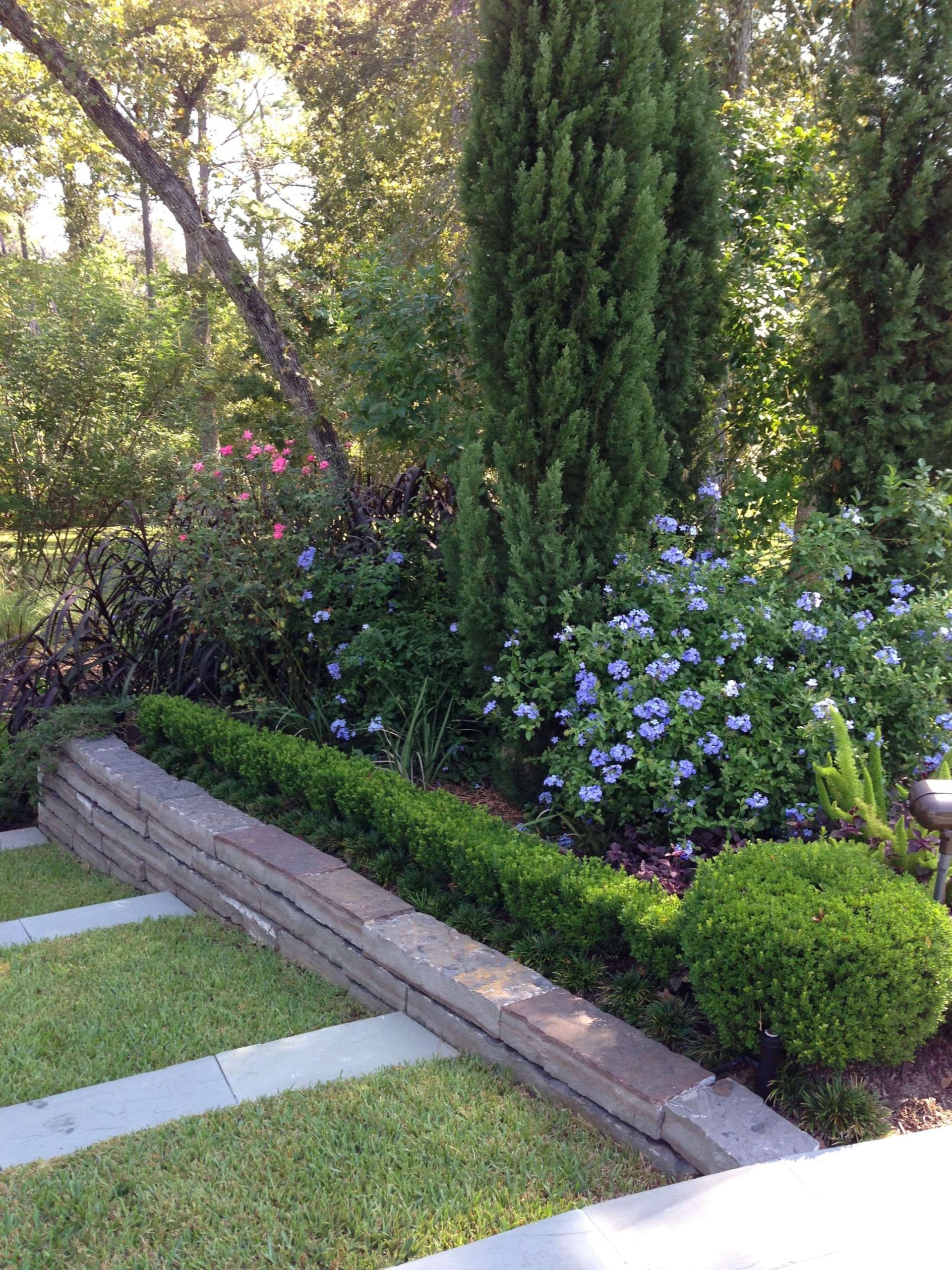 Boxwood, Italian Cypress, Plumbago and Grasses make up some of the