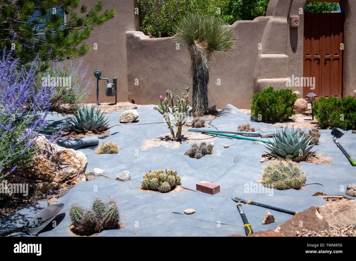 Cacti garden in the making in Albuquerque, New Mexico Stock Photo