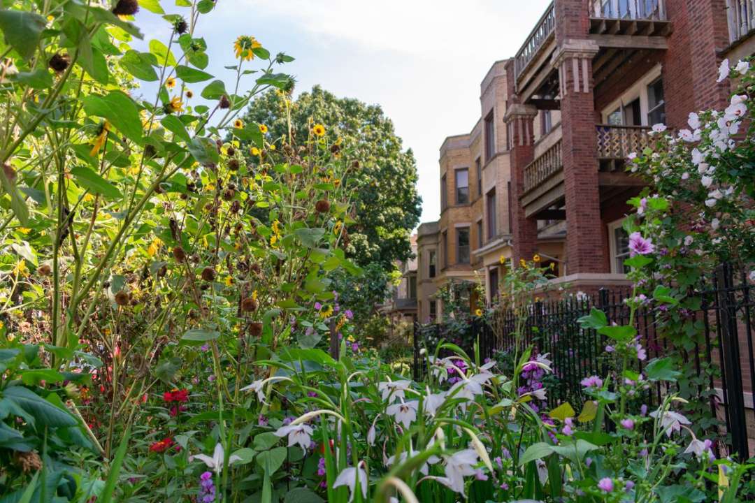 Chicago landscaping: Ideas for front yards, gardens, spring plants