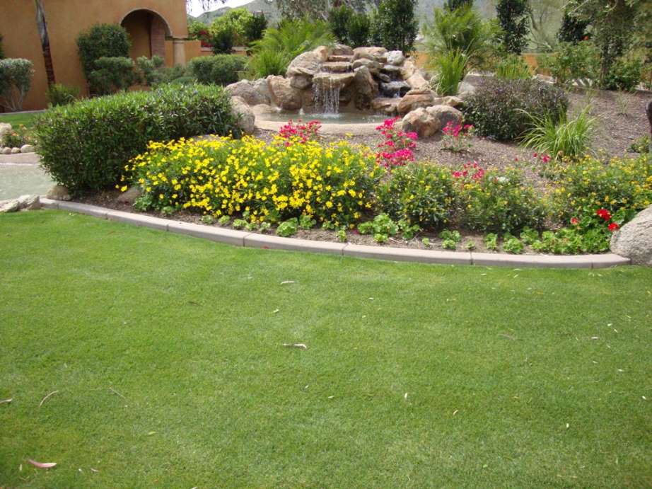 Choosing the Perfect Design for Your Arizona Backyard Landscapes -