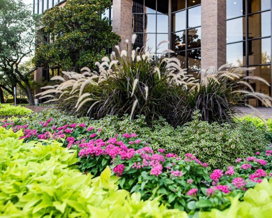 Dallas Luxury Landscape Design - Clients First Landscape Solutions