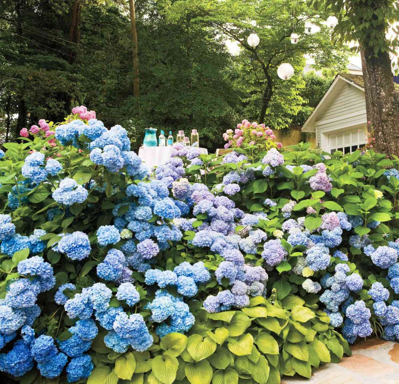 Dreamy Hydrangea Gardens That Are Giving Us Major Inspiration