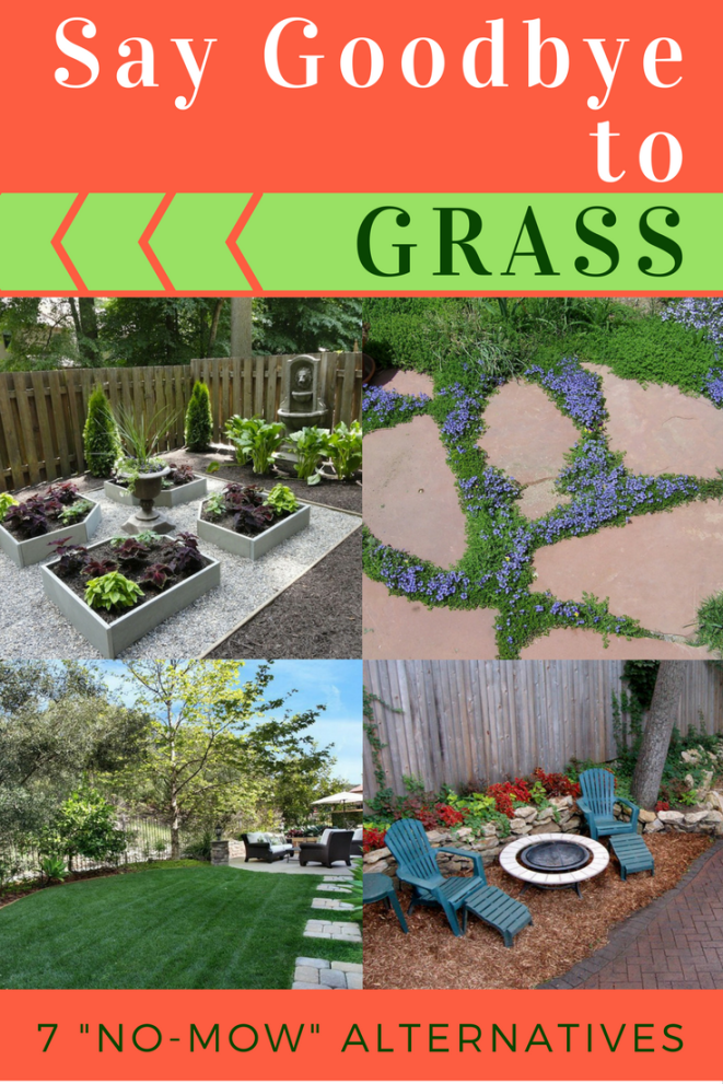 Easy Grass Alternatives for Your Lawn  Backyard grass