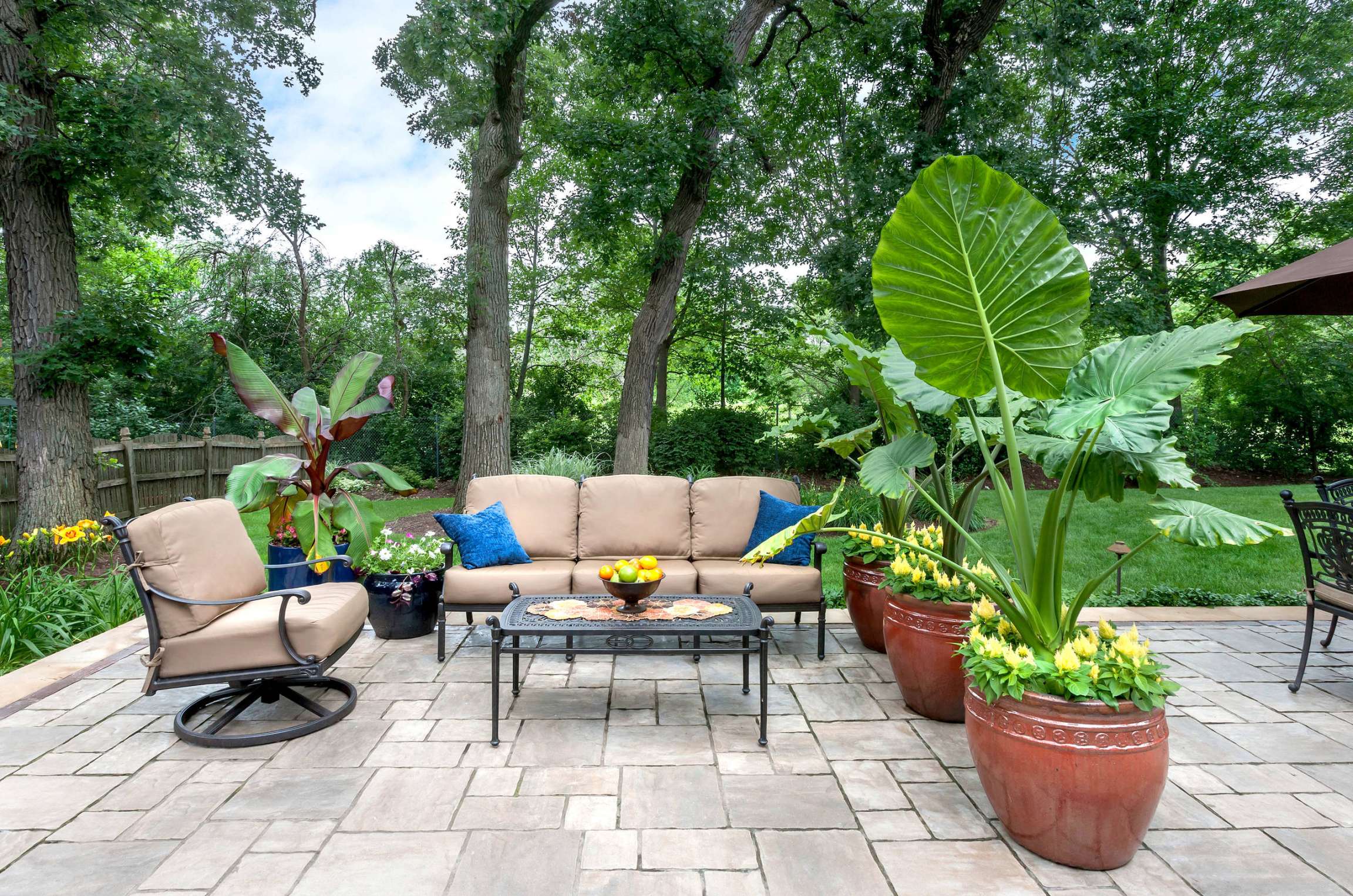 Elephant Ears Landscaping Ideas - Photos & Ideas  Houzz