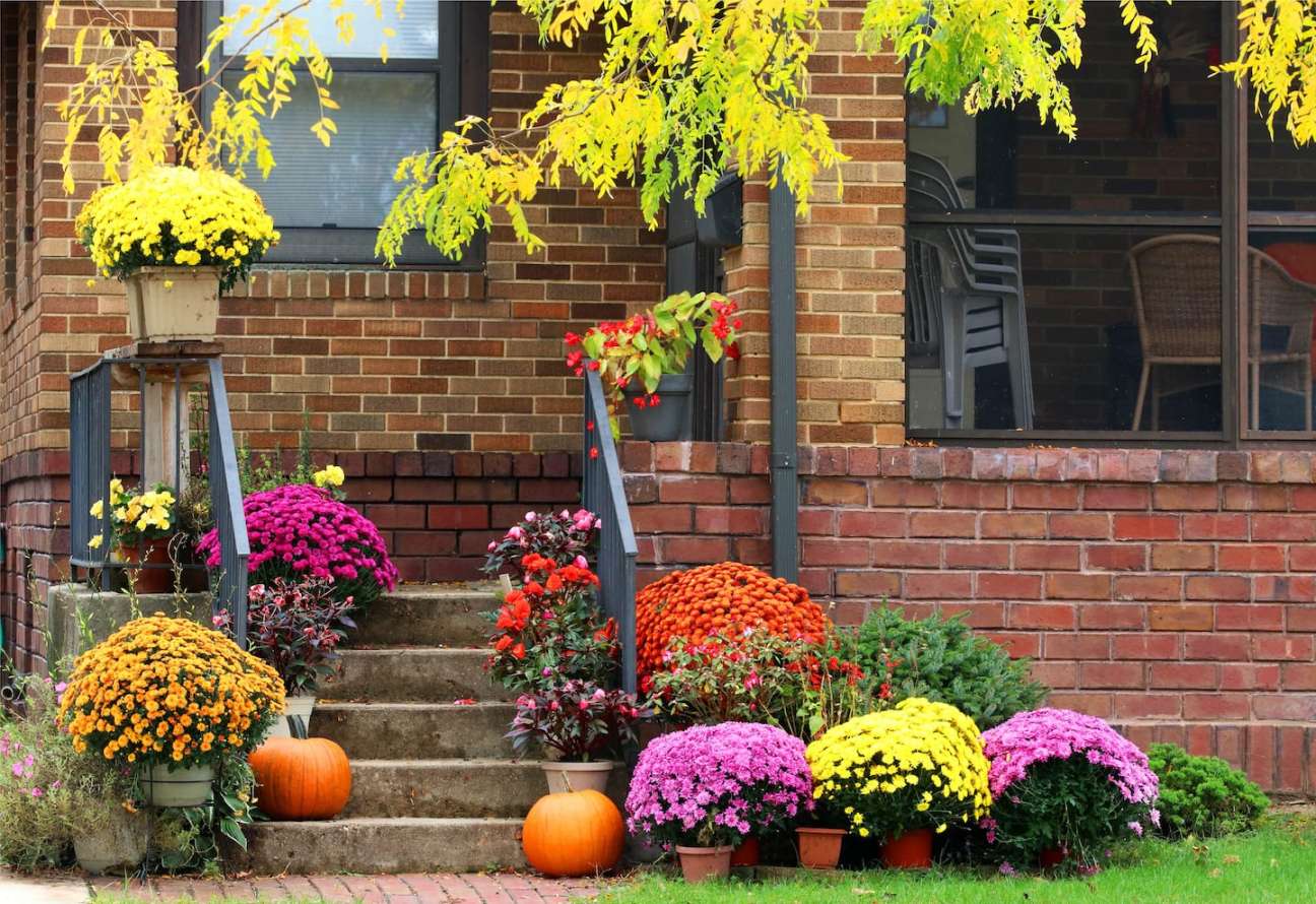 Front Yard Landscaping Ideas to Elevate Your Home