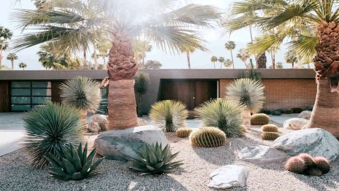 Front Yard Landscaping Ideas With Palm Trees - YouTube