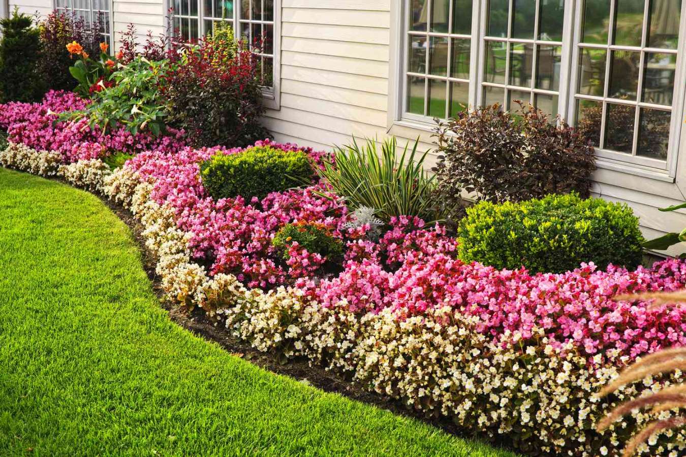 Garden Edging Ideas to Make Your Garden Pop