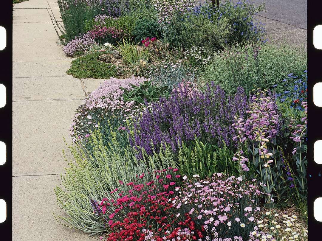 Gardening by the sidewalk