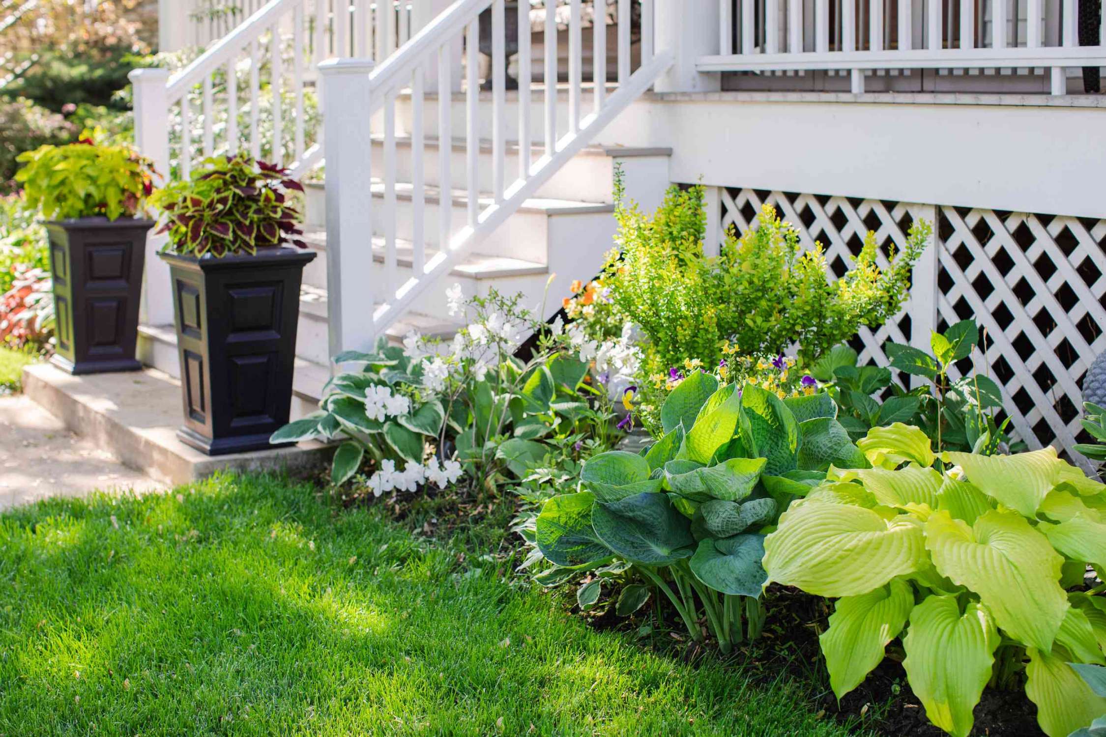 Hosta Garden Design Ideas to Bring Your Yard to Life