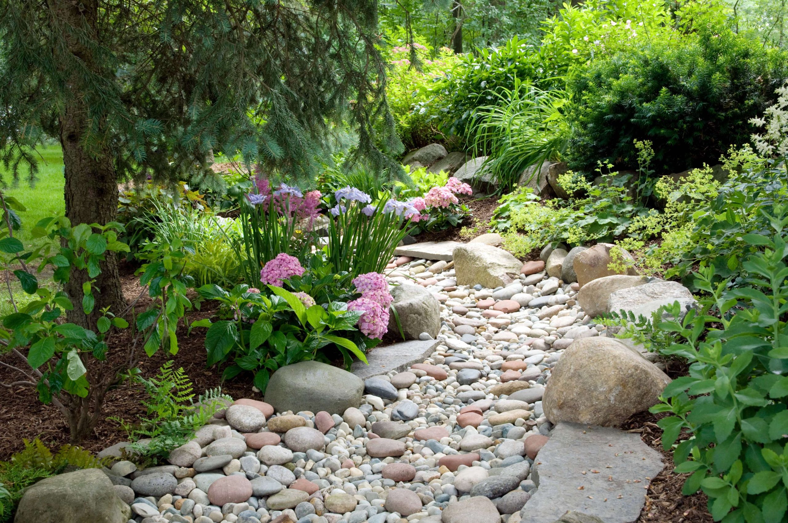 How to Create a DIY Dry Creek Bed in Your Yard