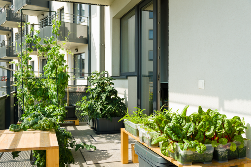 How to Design a Beautiful Condo Balcony Garden - Designer Deck