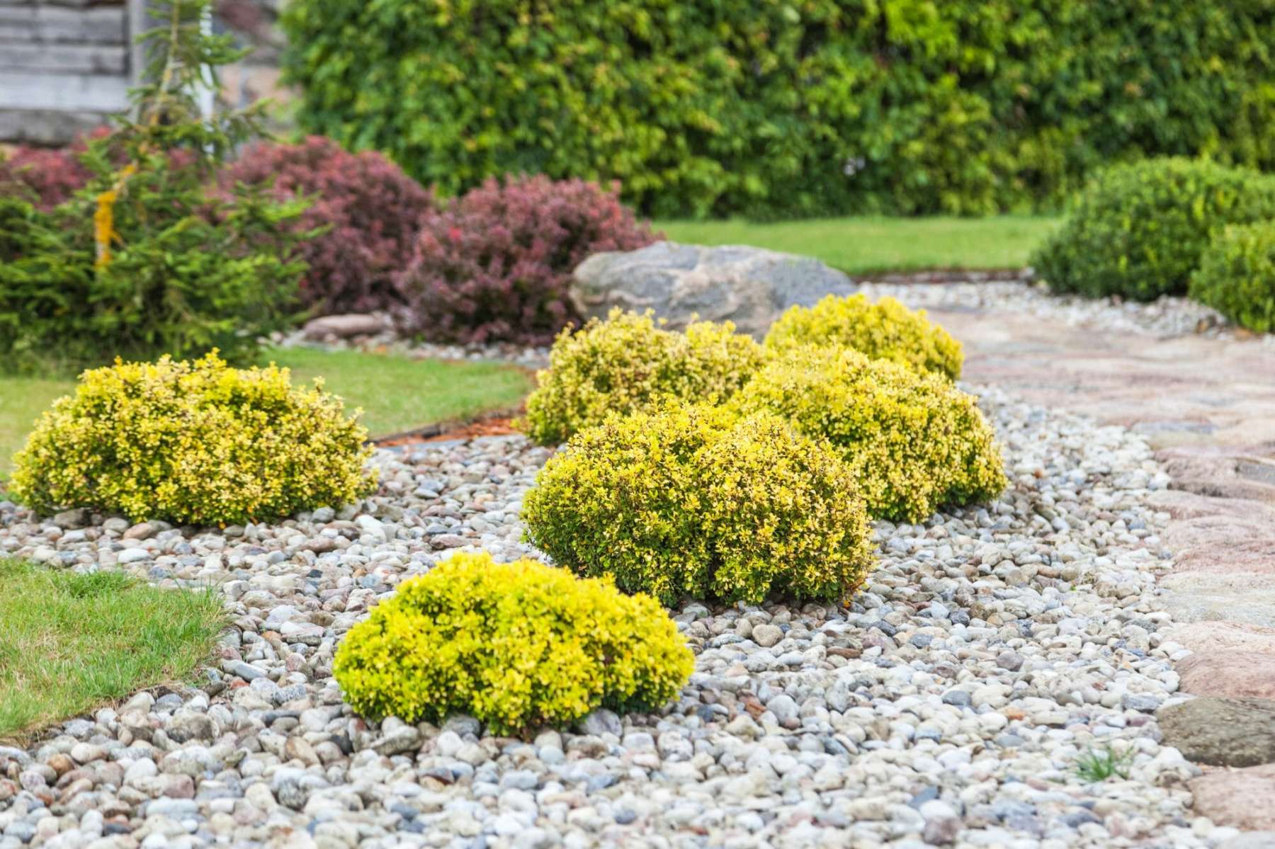 How to Design Low Maintenance Landscaping - Ohio Valley Group