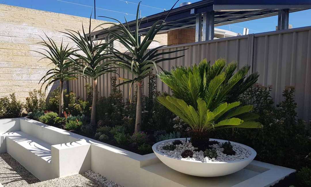Landscape Design Ideas For Gardens With No Grass  Perth Landscapes