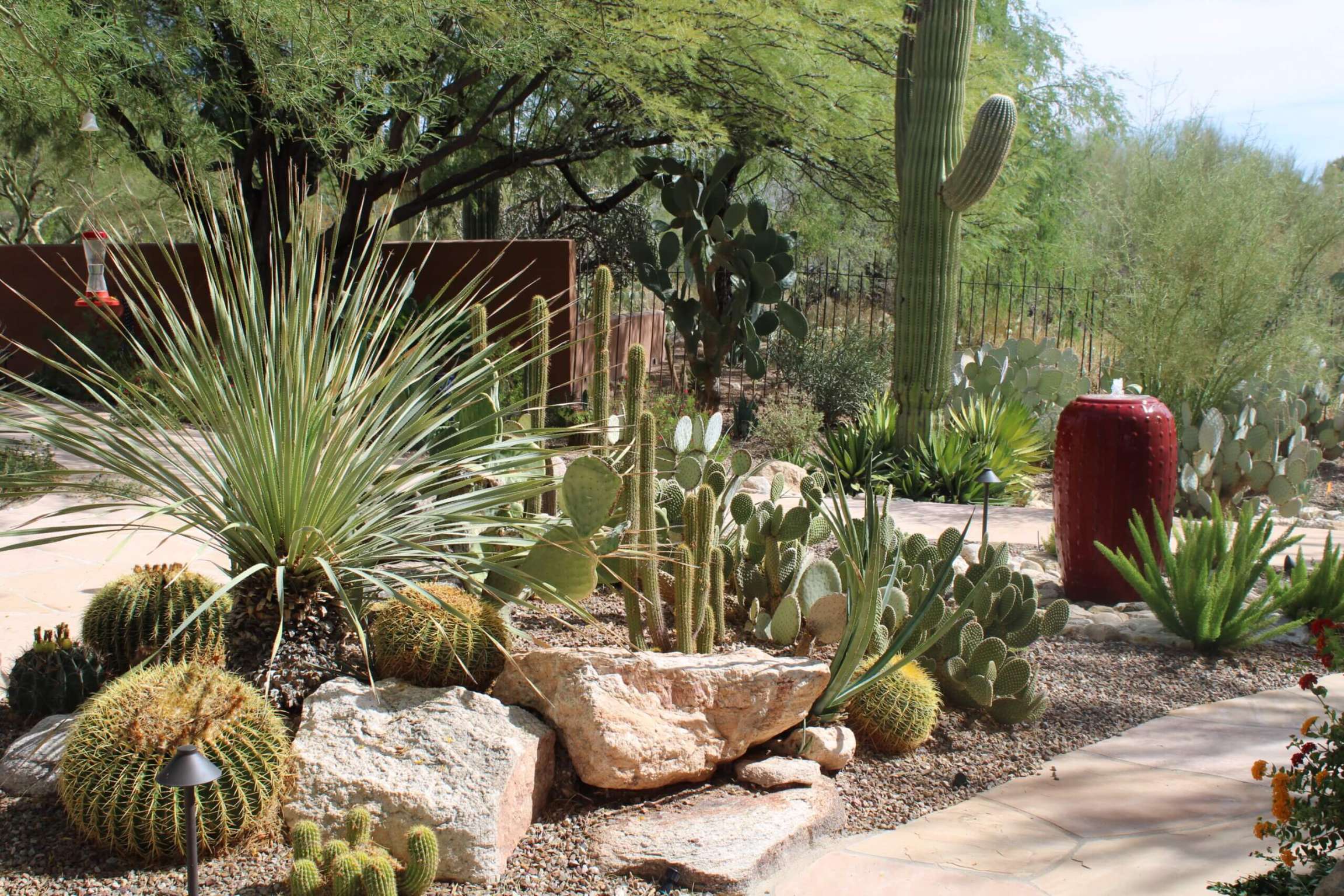 Landscape Design in Tucson, AZ  Horticulture Unlimited Inc.