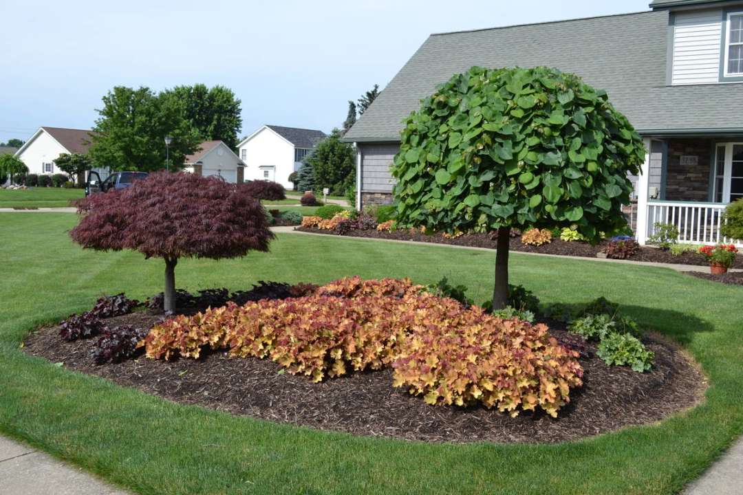 Landscaping Ideas with Photos.