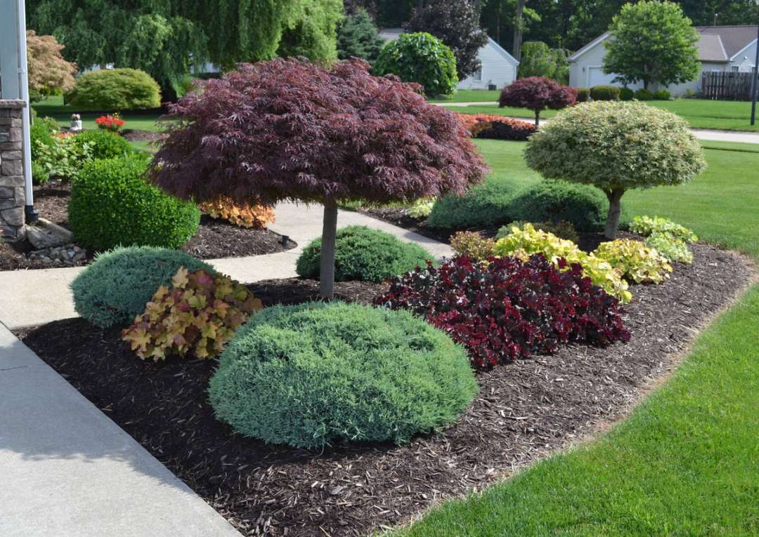 Landscaping Ideas with Photos.