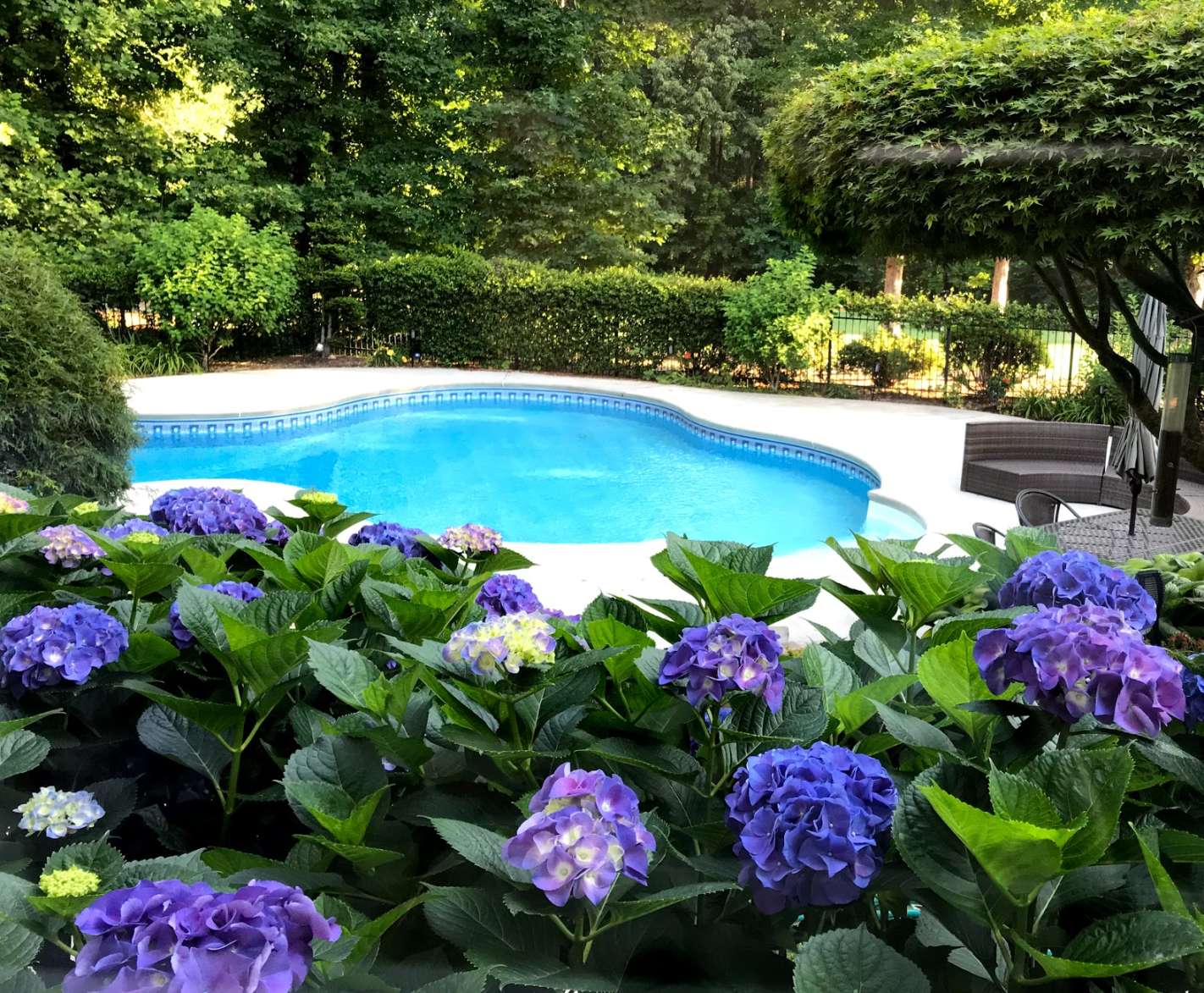 Landscaping Swimming Pools - Tips by a Pool Owner