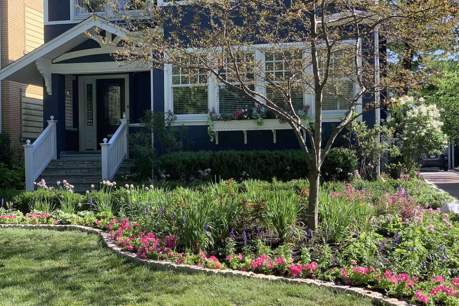 Large Front Planting Bed in Wilmette Illinois - Van Zelst