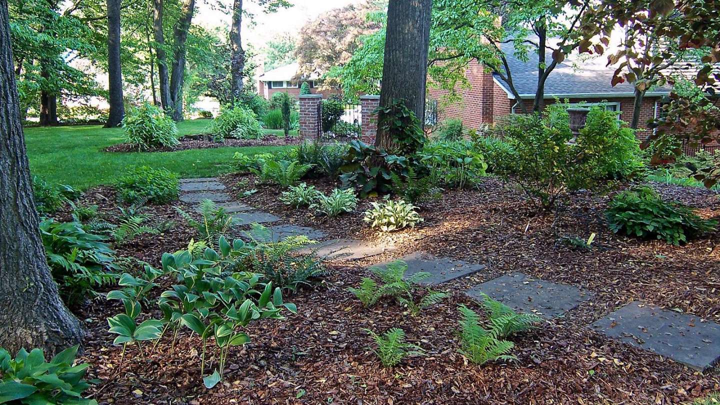 Lawn Alternatives  University of Maryland Extension