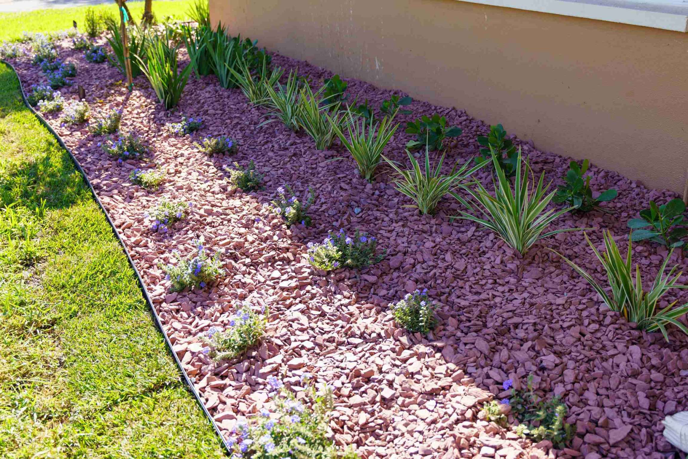 Low Maintenance Landscape Design Solutions in Largo, FL  From The