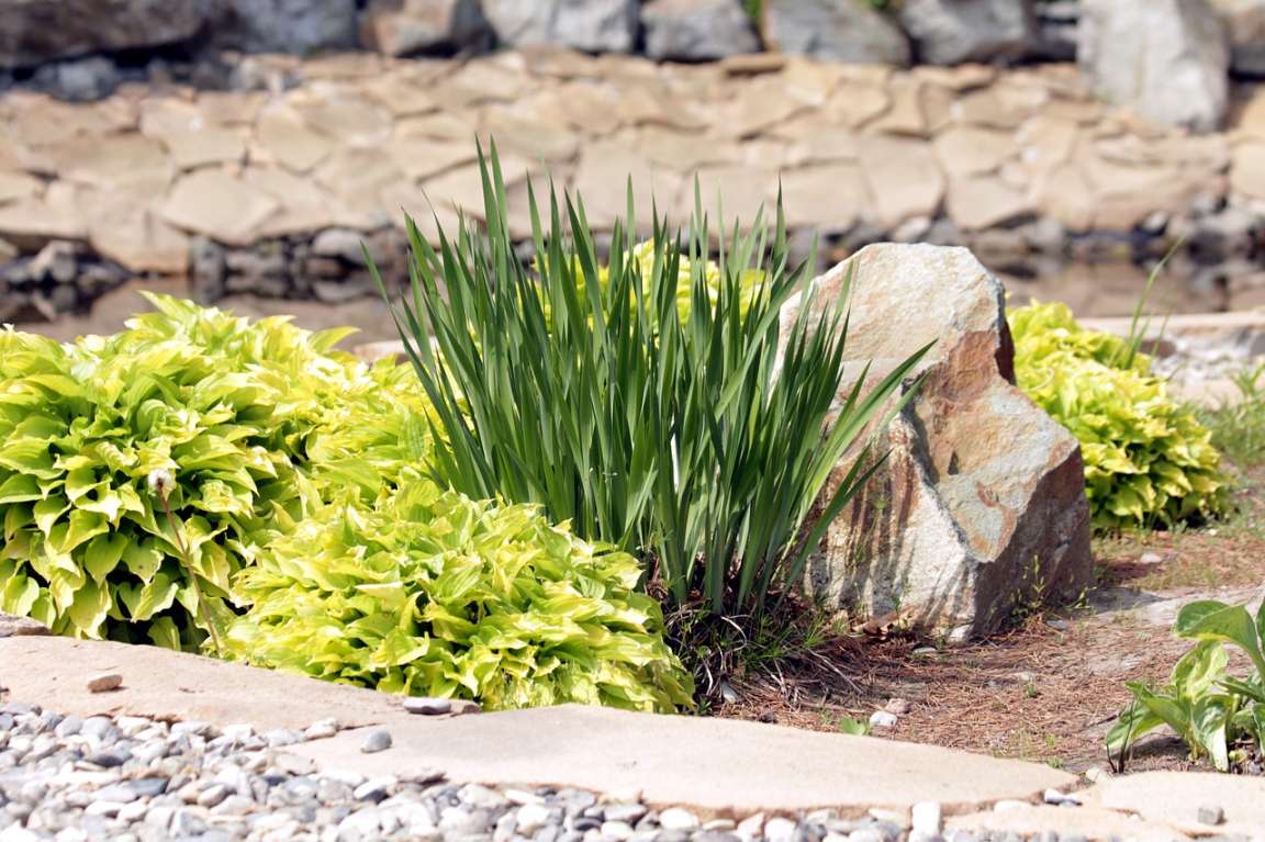 Low-Maintenance Landscaping Ideas for Richmond