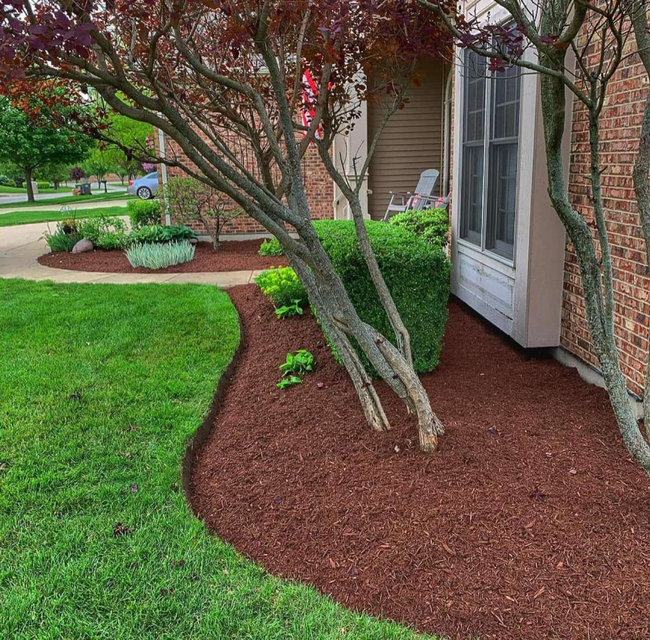 Low-Maintenance Landscaping Ideas for Your Yard