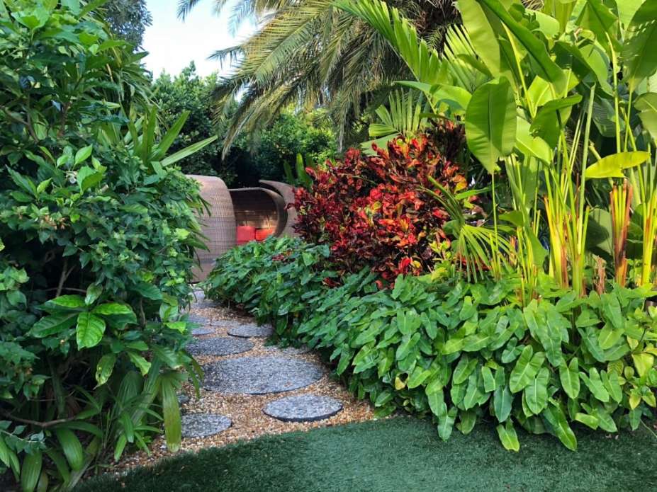 Luxury Landscape Design Miami  Lush Oasis  Lancescape Miami