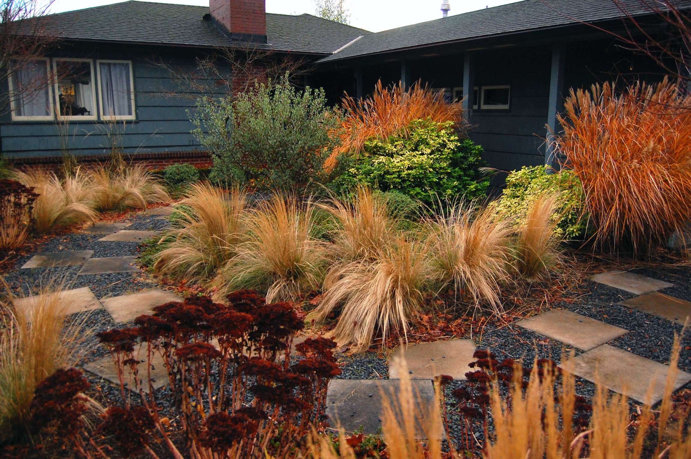 Mexican Feather Grass - Photos & Ideas  Houzz