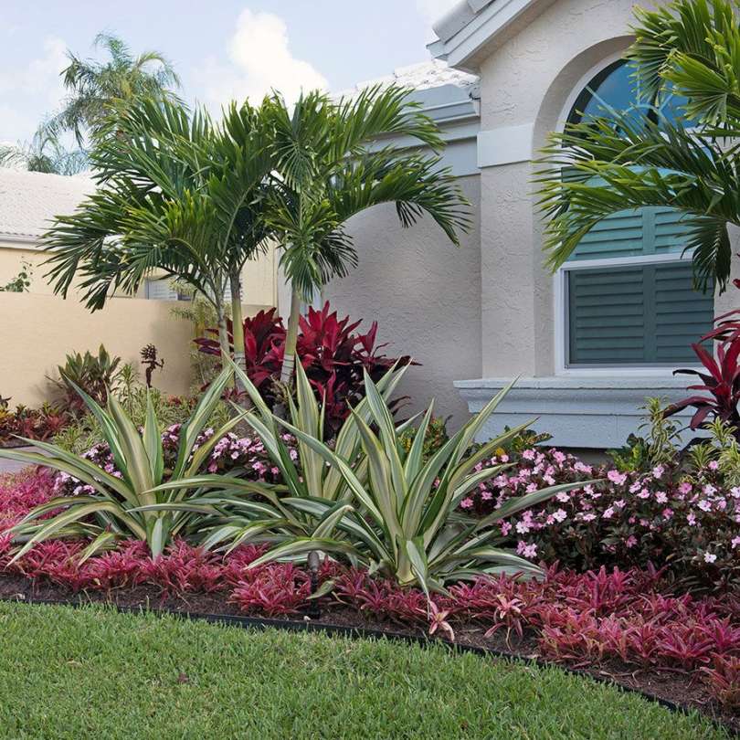 Miami Landscaping Pros Share  Creative Front Yard Ideas