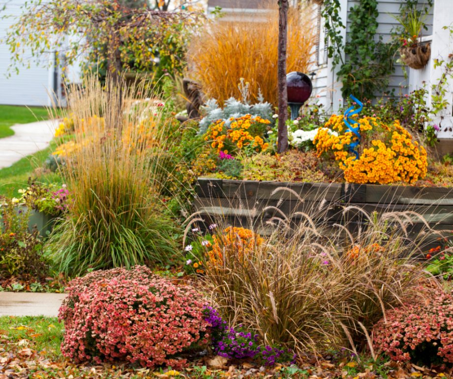 Milwaukee Fall Landscaping Ideas  LandCrafters Landscaping