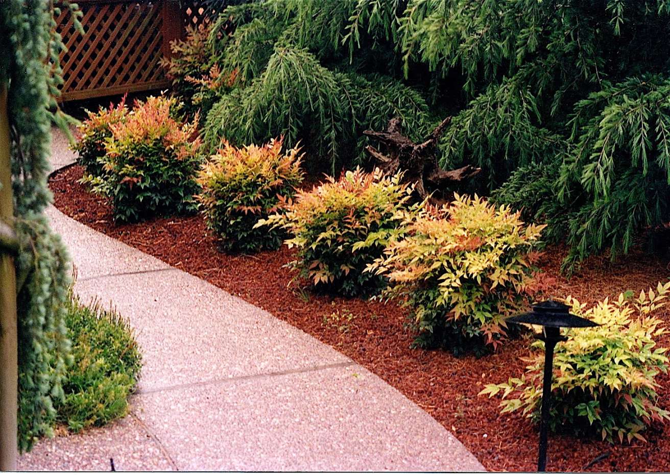 Nandina  Details Landscape Art - Details Landscape Art