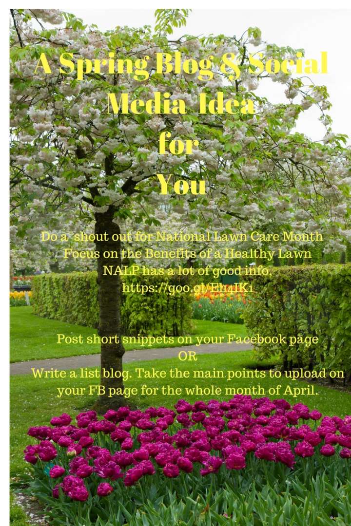 Need a Blog Idea for Your Landscaping Website? Here