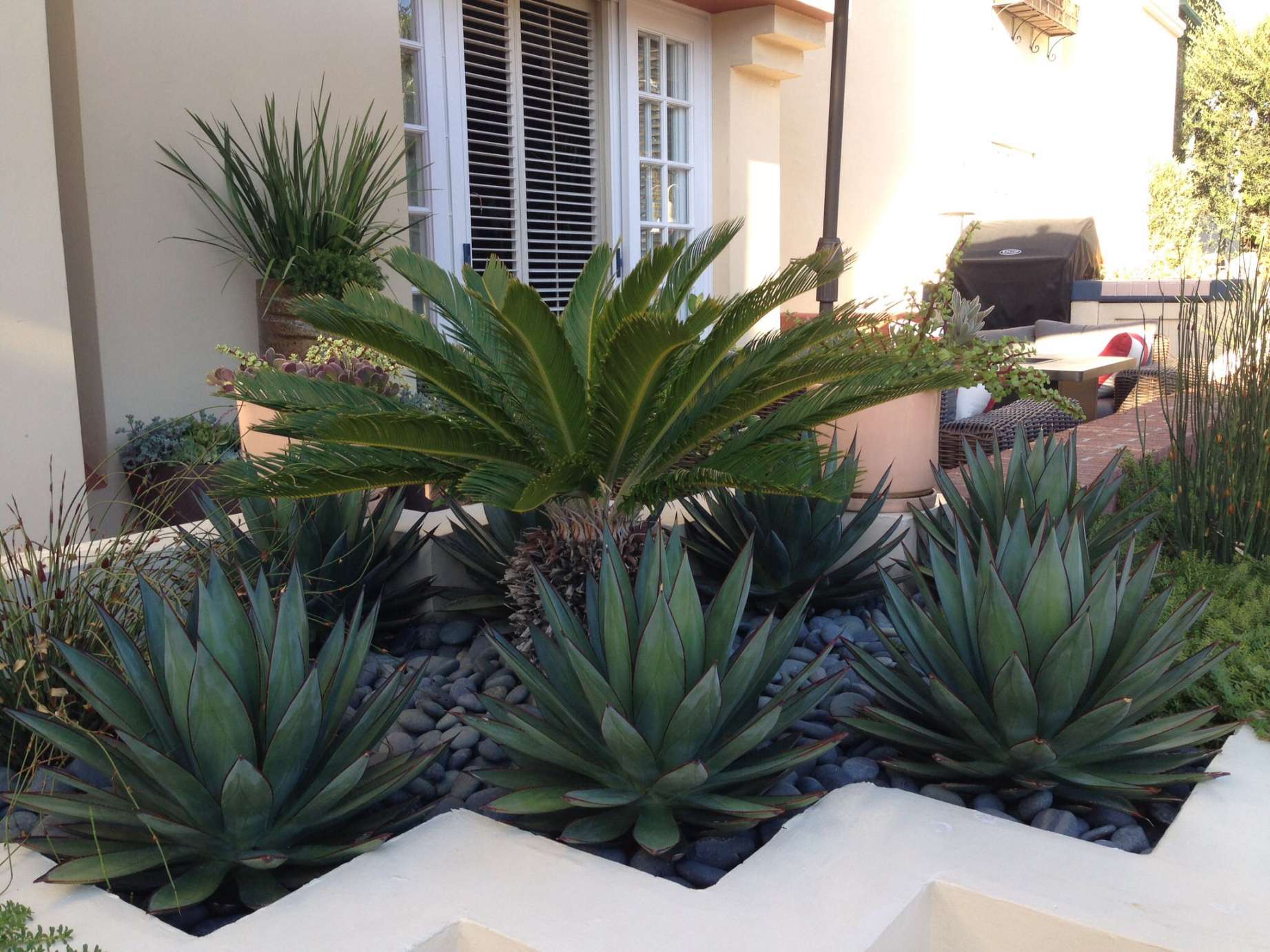 Newport Beach modern planter