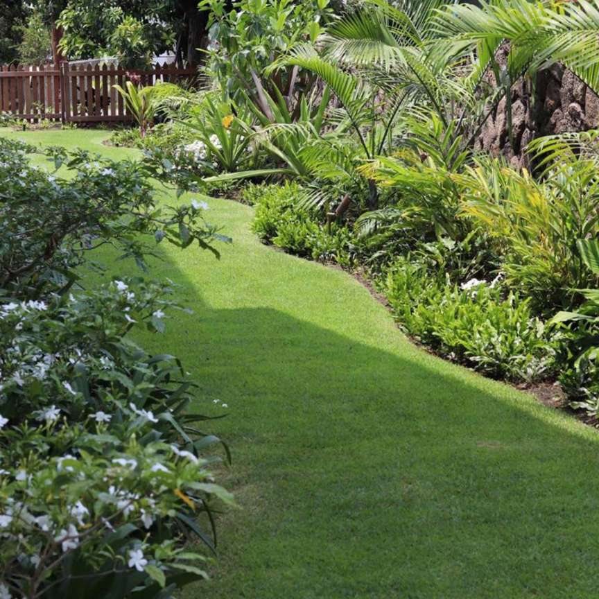 Pacific Outdoor Living  Hawaii Landscape Services