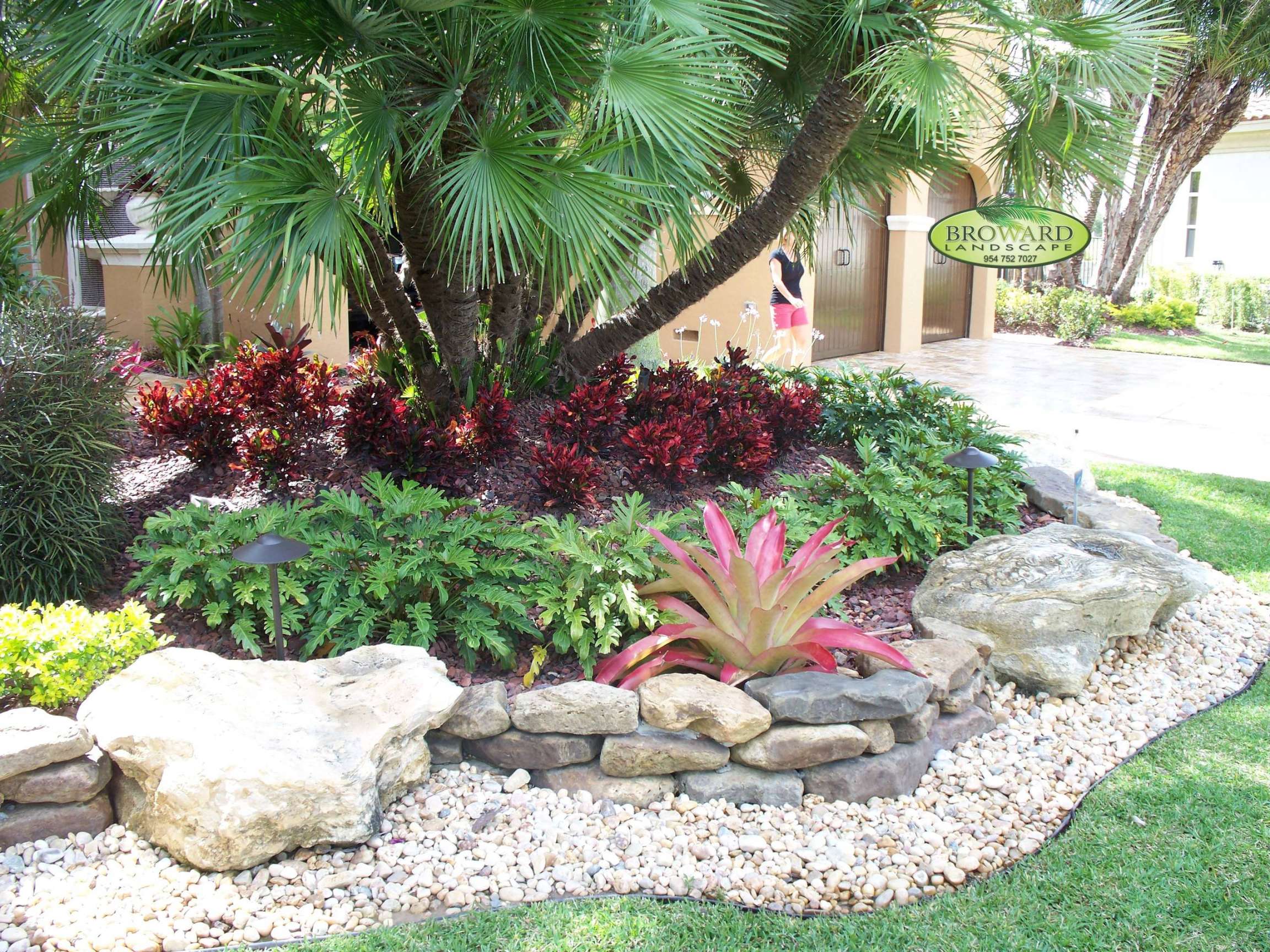 Palm Trees In Front Yards - Photos & Ideas  Houzz