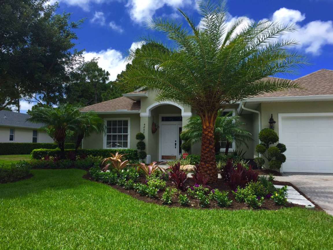 Palm Trees In Front Yards - Photos & Ideas  Houzz