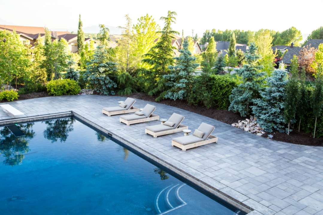 Pool Landscaping Ideas To Dip Your Toes In - Big Rock Landscaping