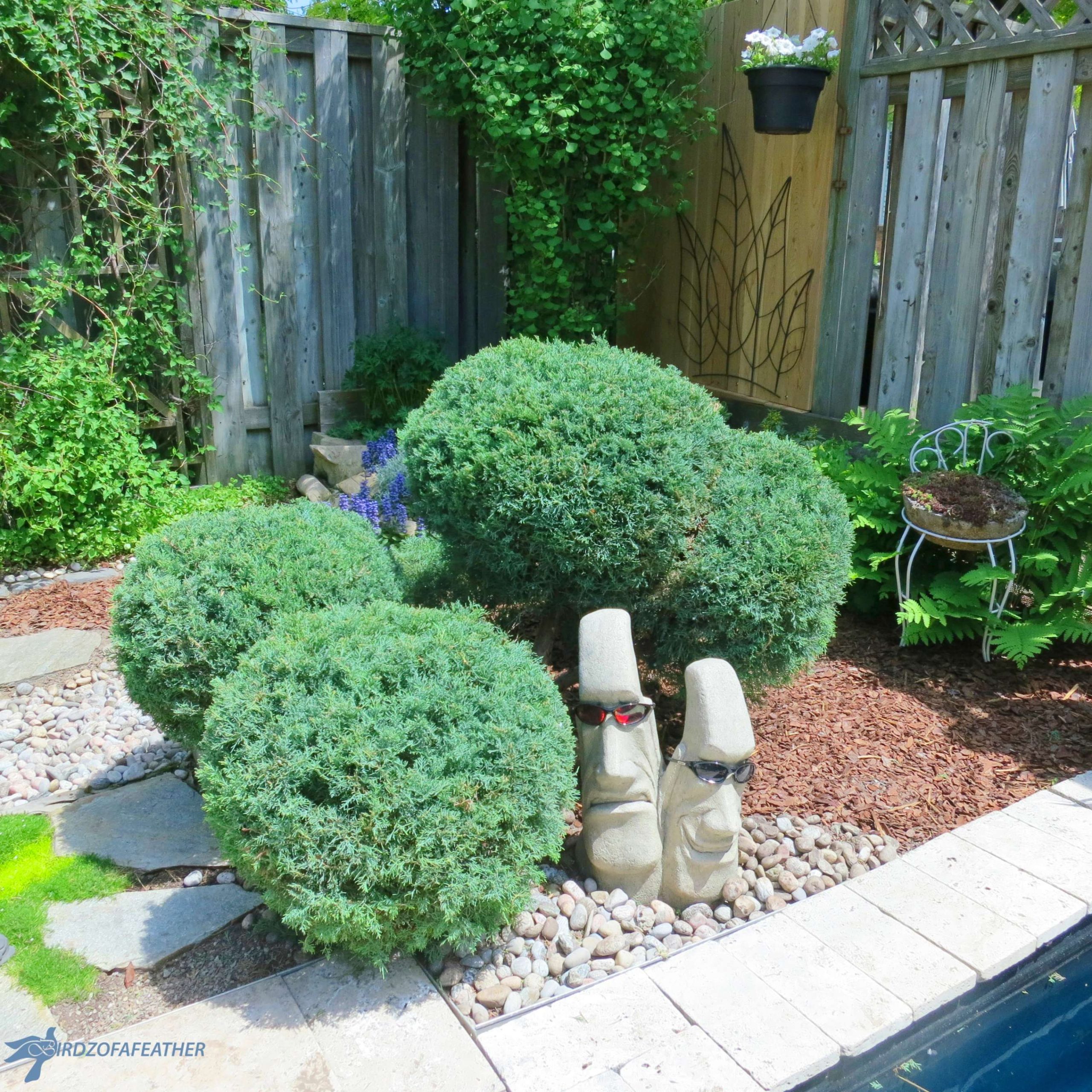 Reshape a Pom Pom Topiary - How to Prune - Birdz of a Feather