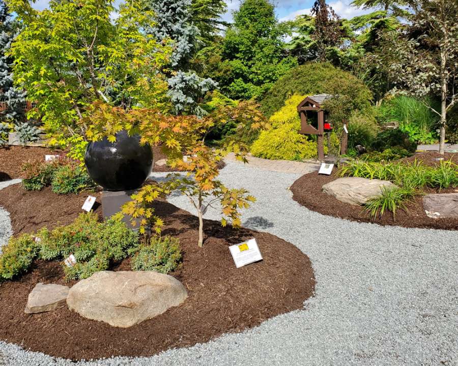 The Japanese Maple Garden at DTE – Down to Earth Living - Garden
