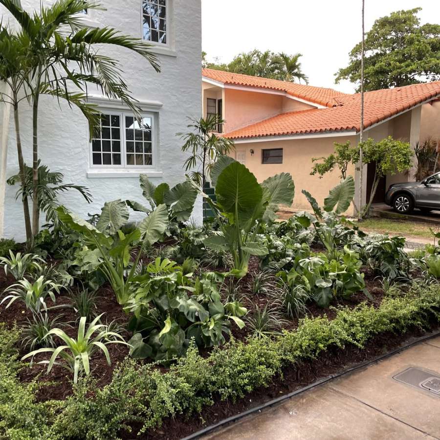 TOP  BEST Landscape Design in Miami, FL - Updated  - Yelp