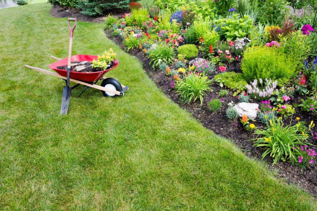 Top Spring Landscaping Tips - Boschs Landscaping Specialists